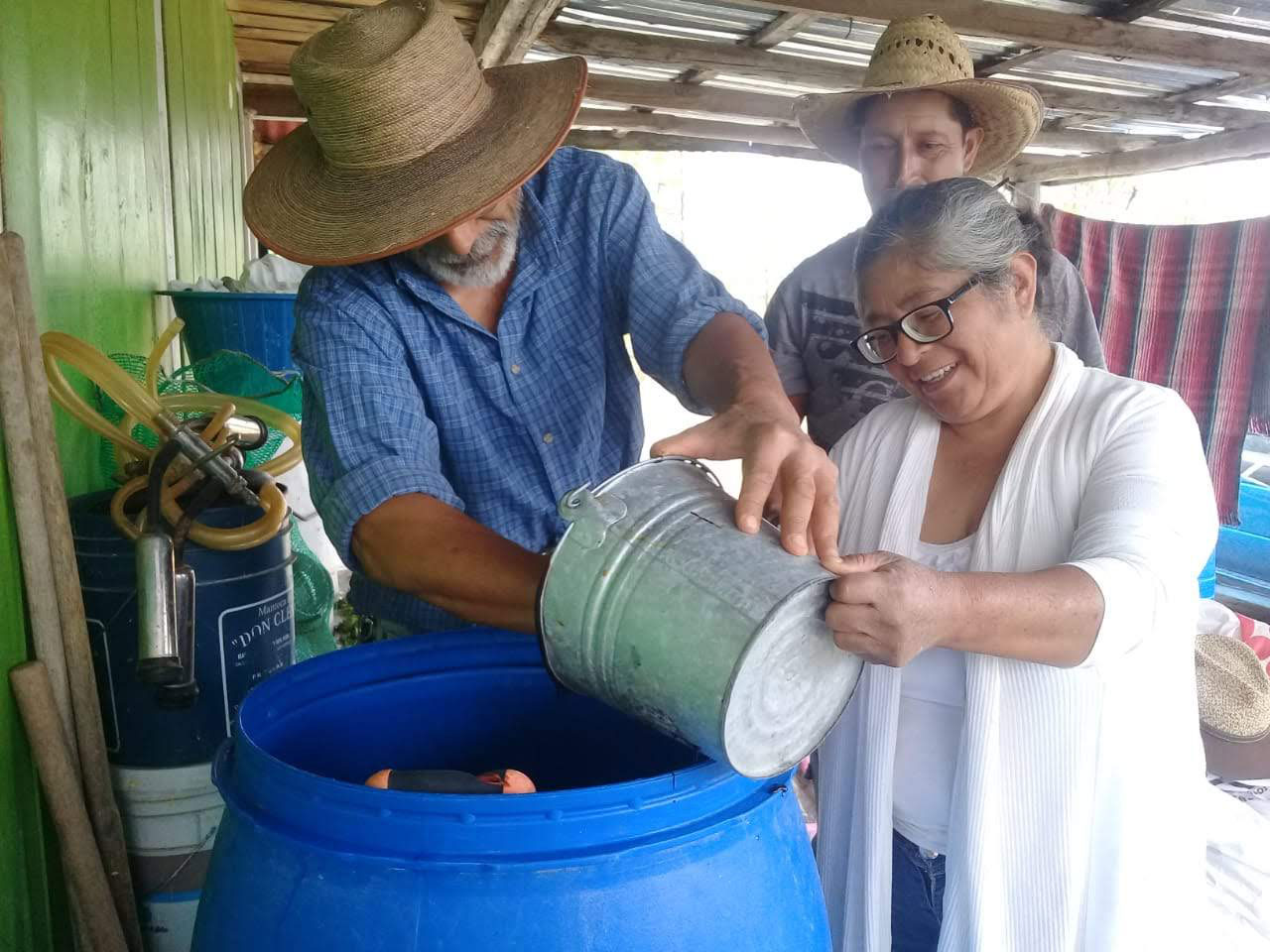 Preparando abono orgánico